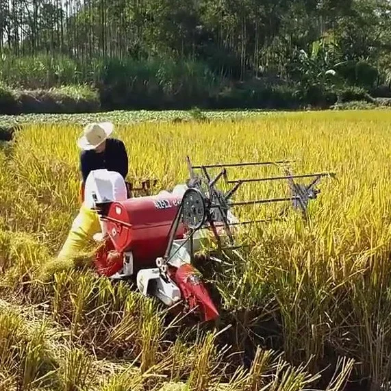 Combine Harvester Mini - Automatic 13HP New Wheat Rice Harvesting