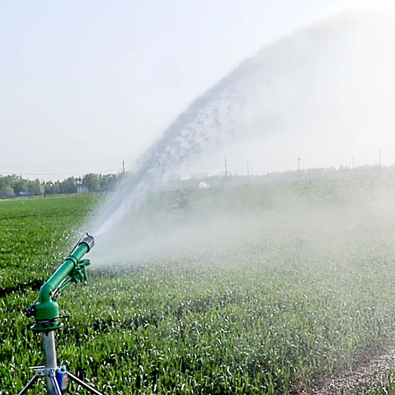 Organic Farming In Agriculture - Agricultural Maize Farm Sprinkler 360 Rotation