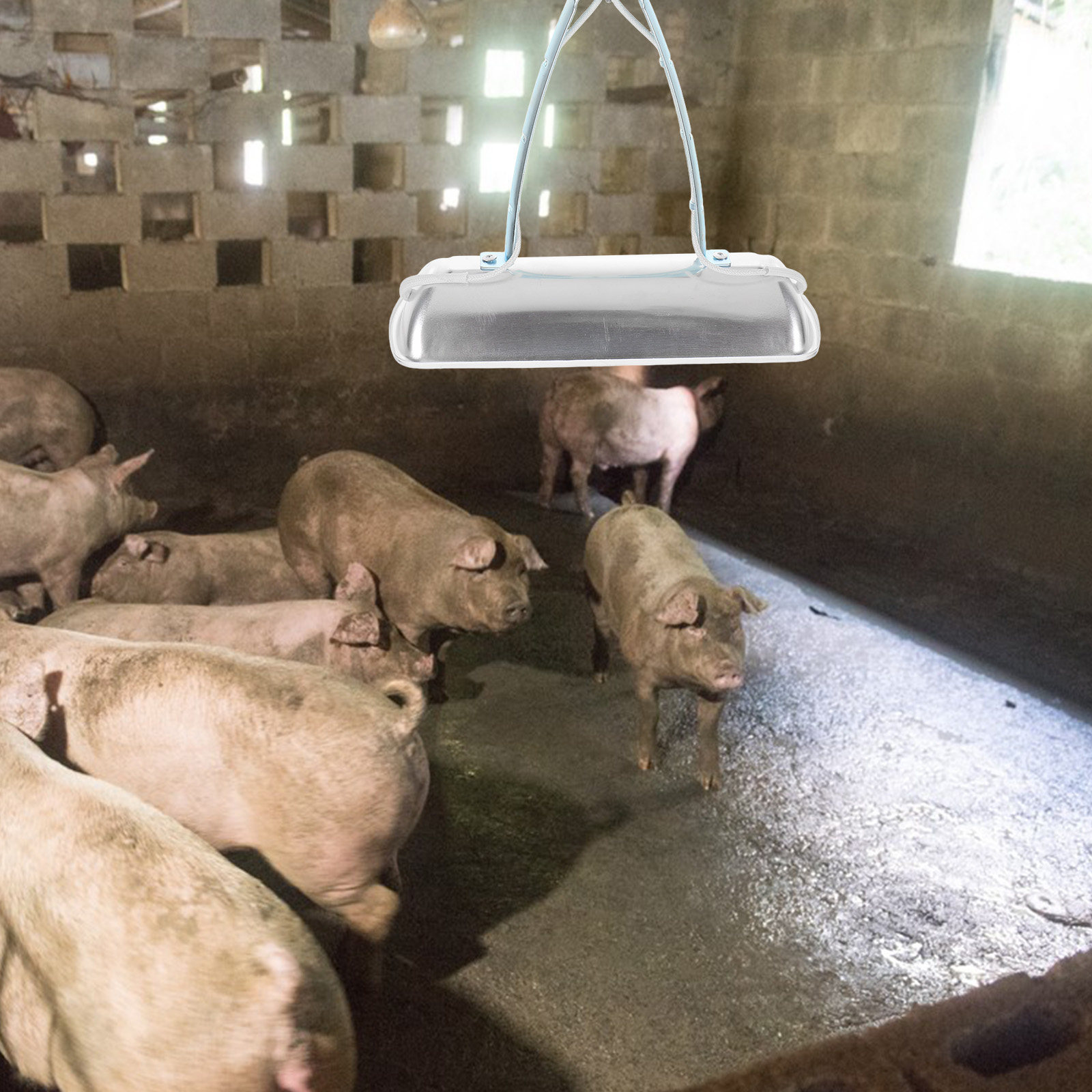 Farming & Agriculture Word Stacks - Pig Farm Preservation Lamp Chicken Brooder