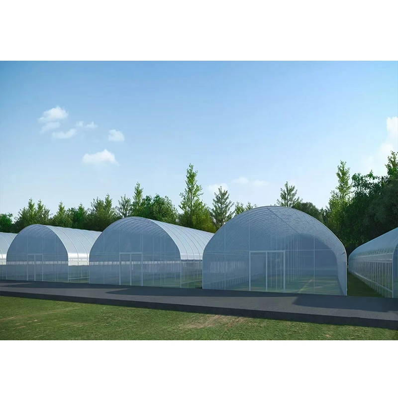 # l Low Cost Farm Singlespan G - Organic Farming In Agriculture ulasan dan harga