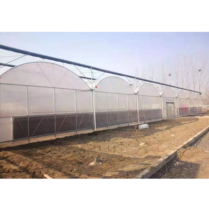 # l Low Cost Farm Singlespan G - Organic Farming In Agriculture ulasan dan harga