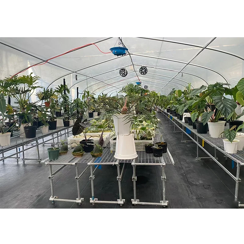 # l Low Cost Farm Singlespan G - Organic Farming In Agriculture ulasan dan harga