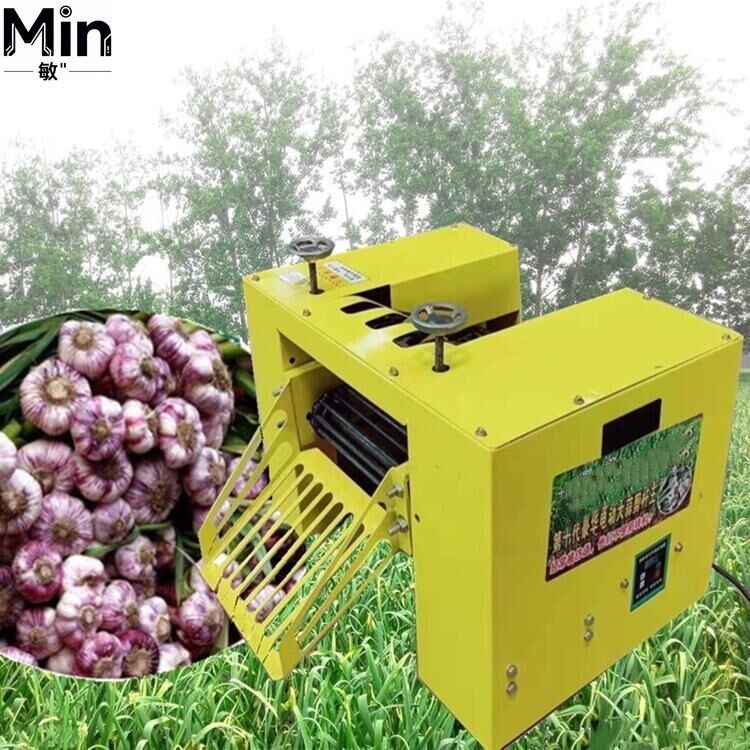 Farm Onion & Garlic Root Stem  - Agriculture Onion Farming ulasan dan harga