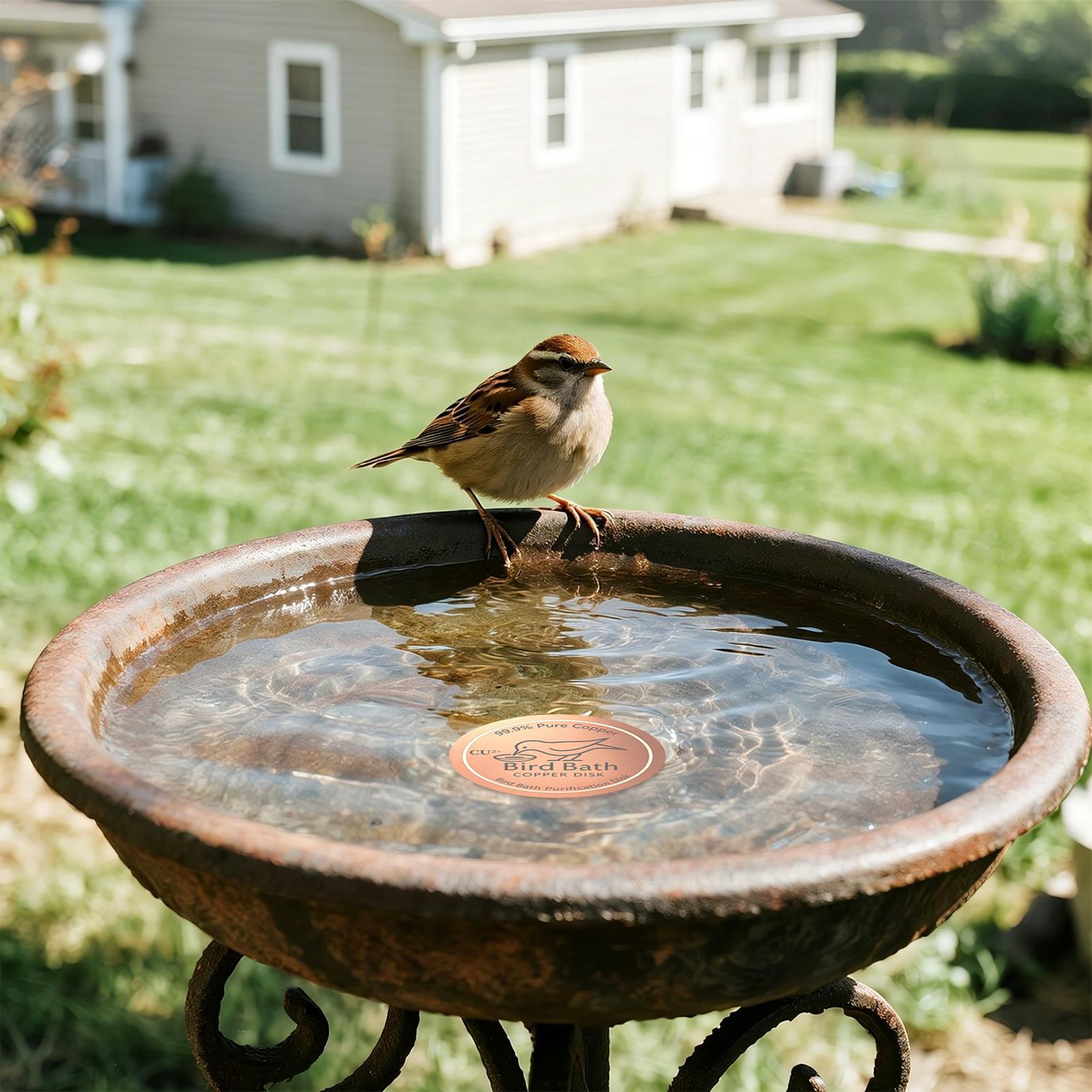 Bird Bath Copper Disk 0.6mm Th - Farming & Agriculture Word Stacks ulasan dan harga